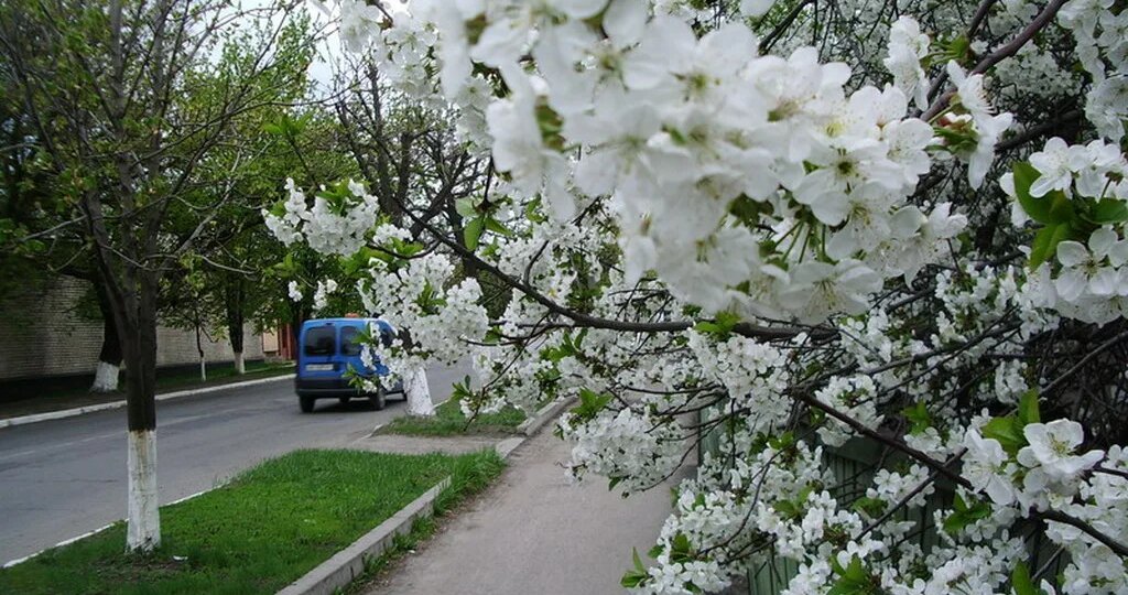 "Весенняя история". Рассказ