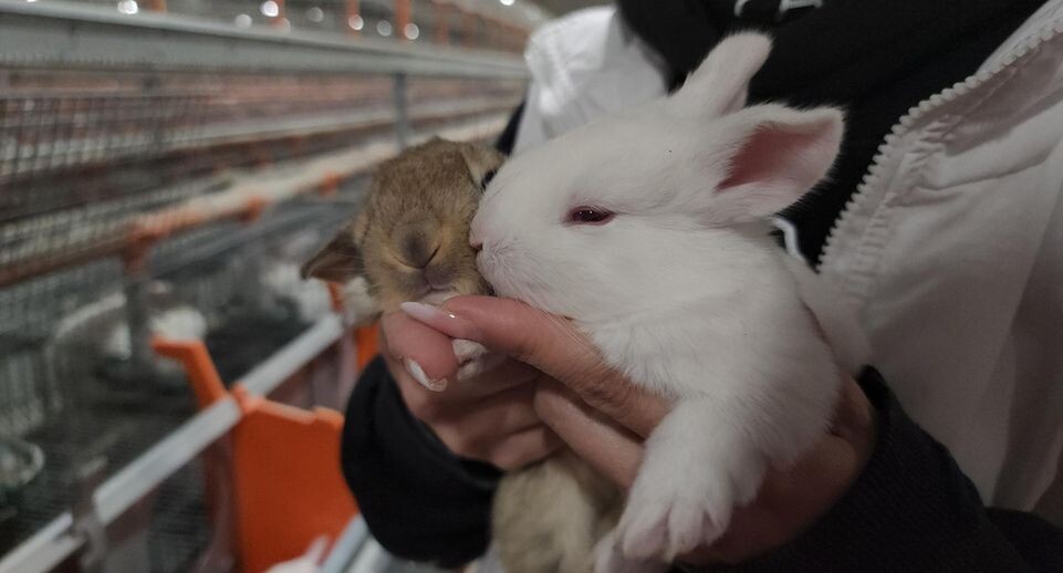    Юлия Андросова