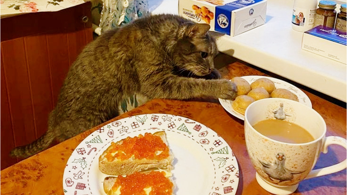 Так-с, что тут у нас