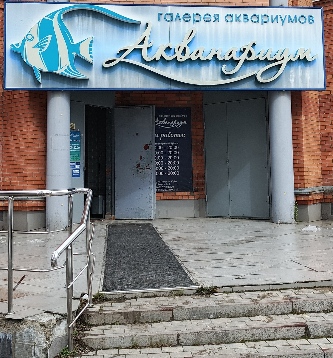 Фото автора статьи