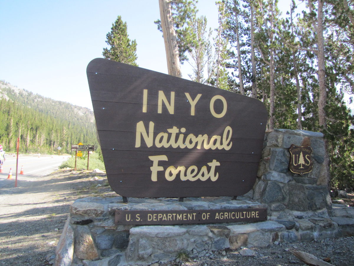 Национальный лес Inyo. В ведении федерального департамента сельского хозяйства. Фото автора