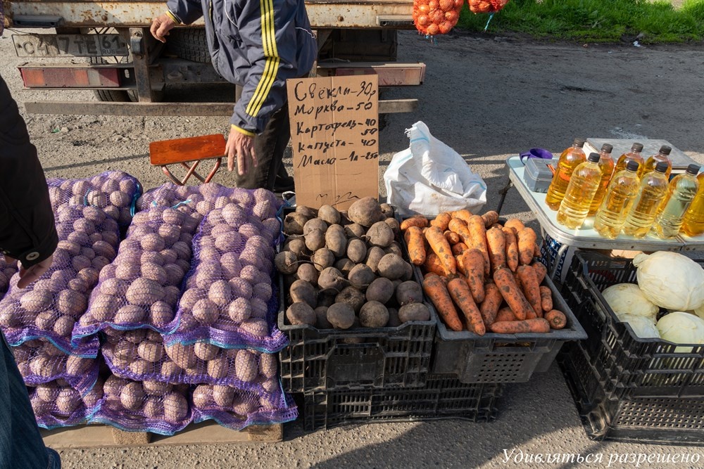 картошка вот в такую цену