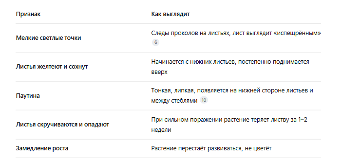 Признаки поражения паутинным клещом