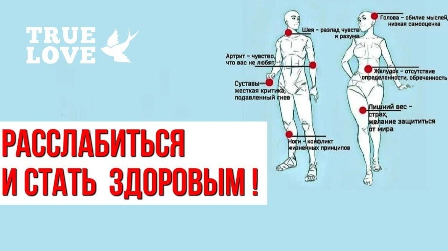 Источник: ссылка выше, оттуда же, откуда и цитата. 