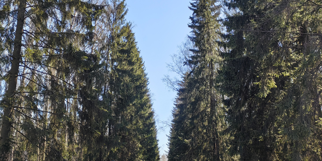 Павловский пейзажный парк