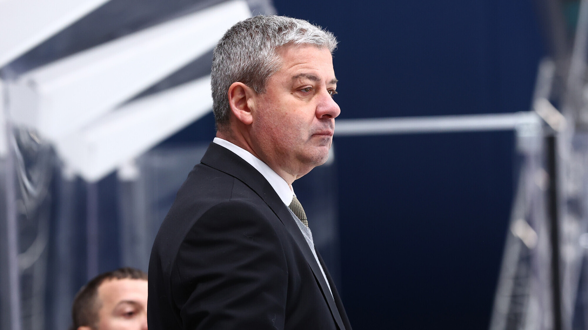     Леонид Тамбиев. Фото: КХЛ