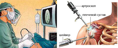 Фото из интернета.