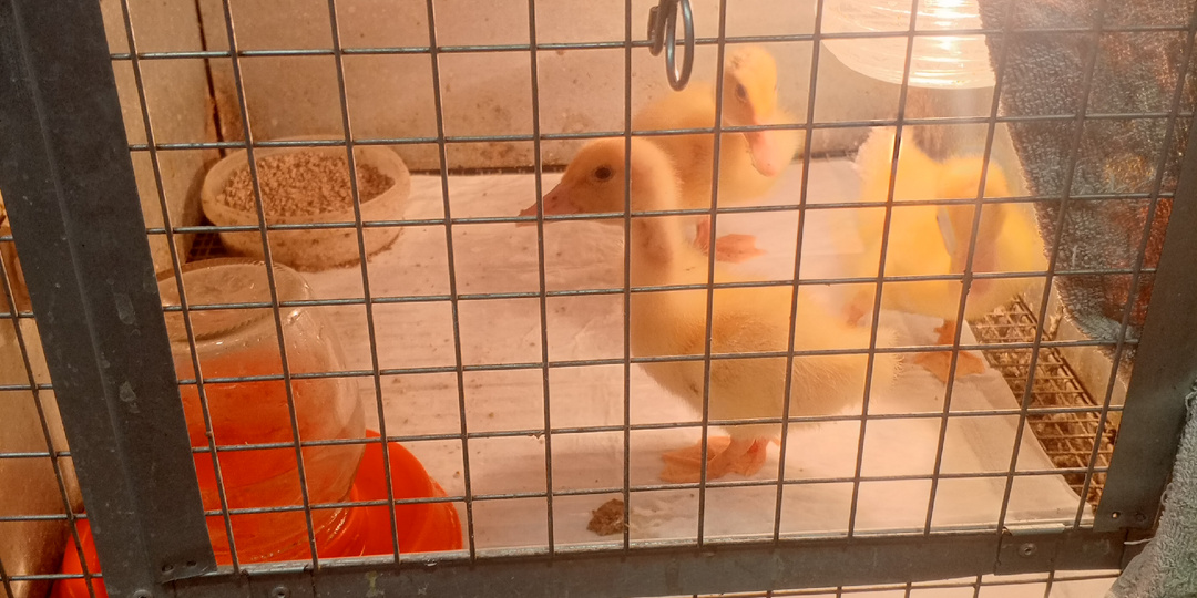 Вечер не задался.