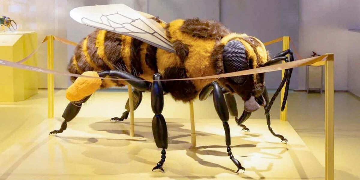 Фото: Государственный биологический музей имени К.А. Тимирязева
