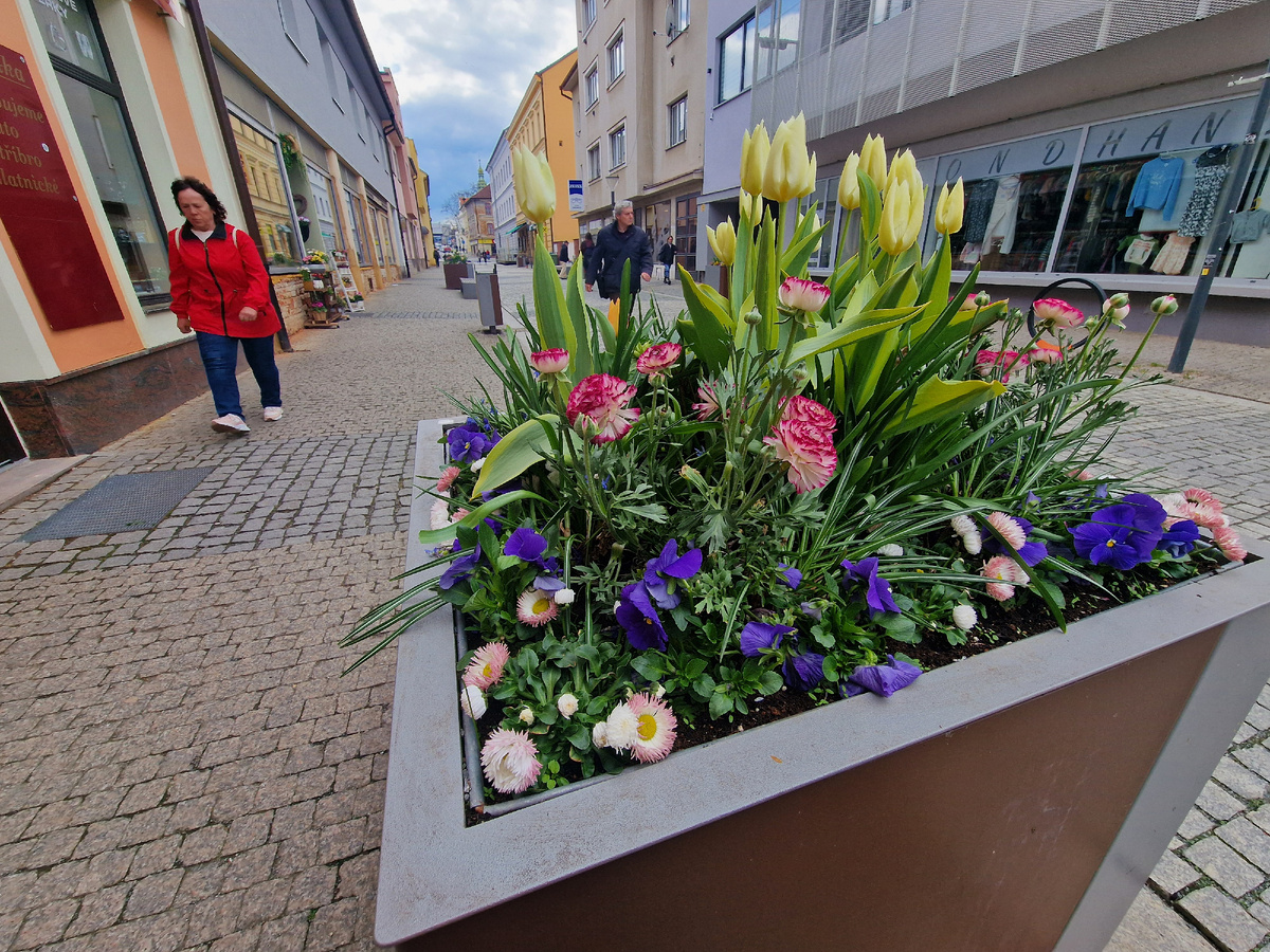 фото автора: красивый городочек Рокицаны