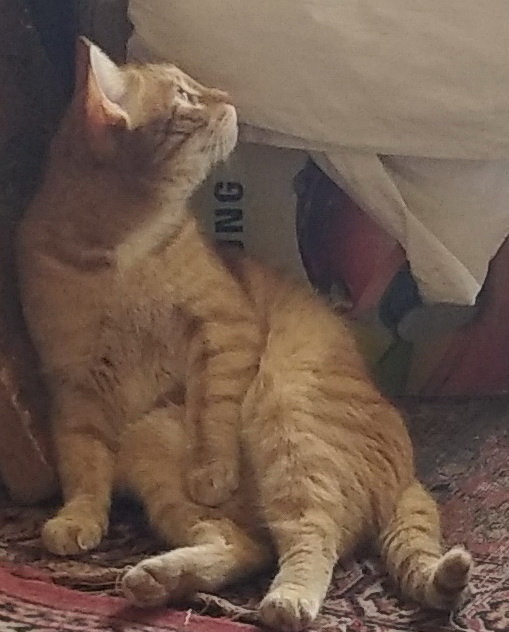 личное фото