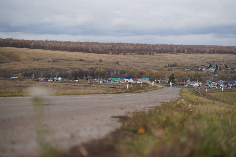    Комитет ветеринарии Самарской области утвердил план мероприятий по устранению инфекции и ее последствий Светлана МАКОВЕЕВА