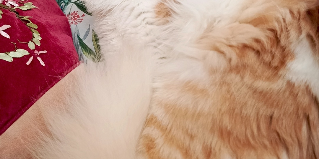 Без сил и без чувств...