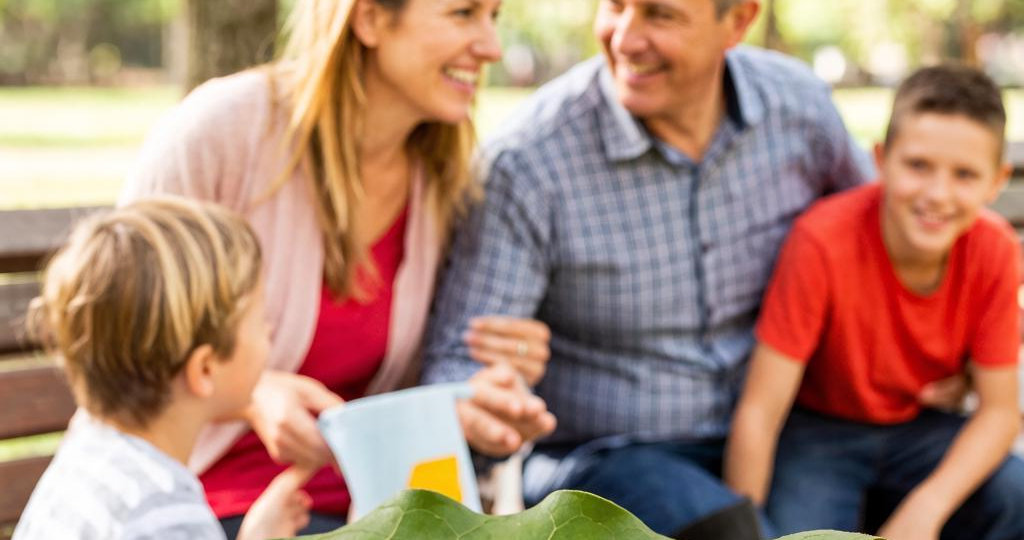 Развод по собственному желанию. Глава 4. Новая жизнь