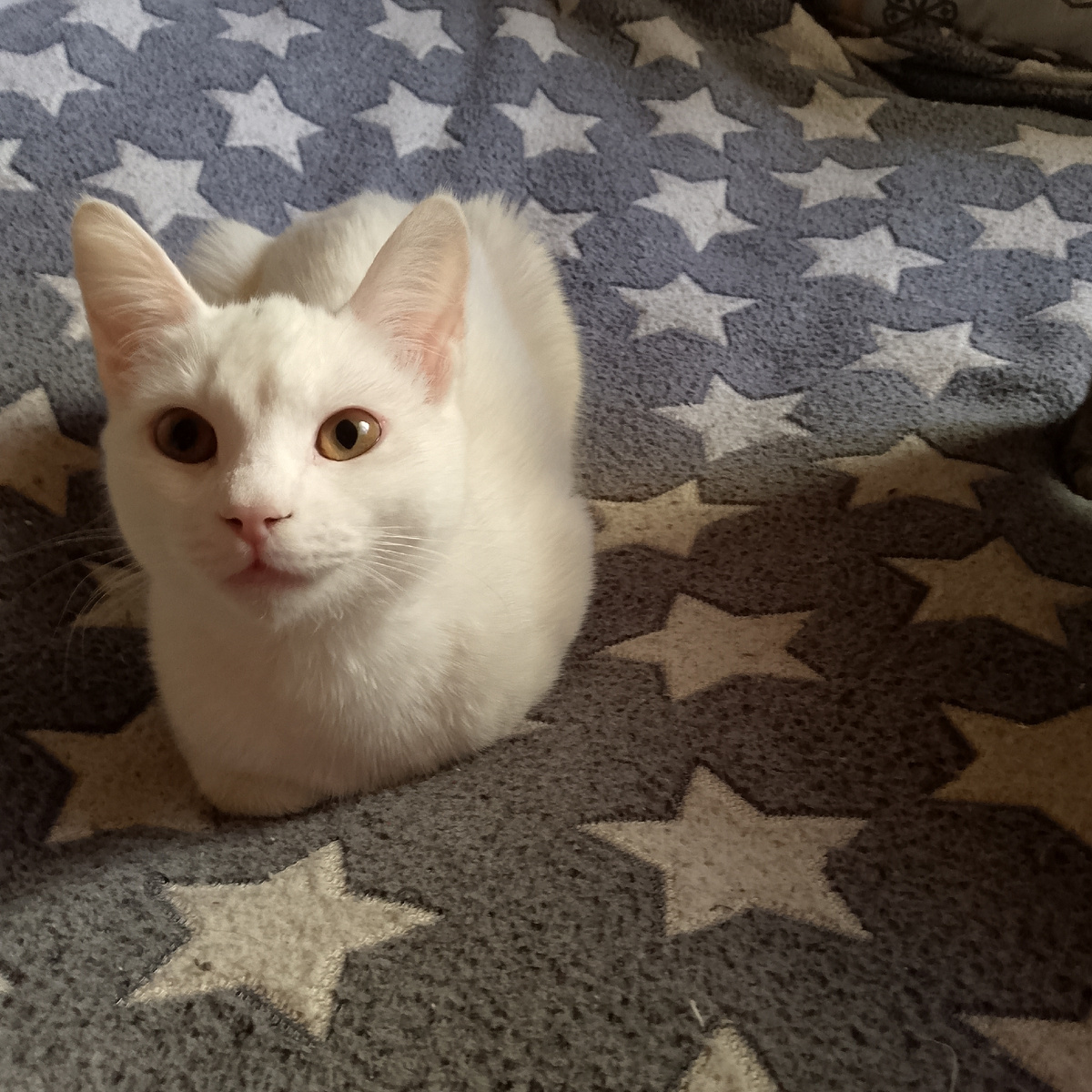 Ишь ты какая чистюля выросла...