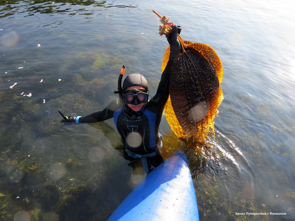 Столько на салат хватит?