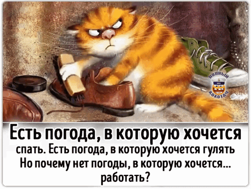 -4