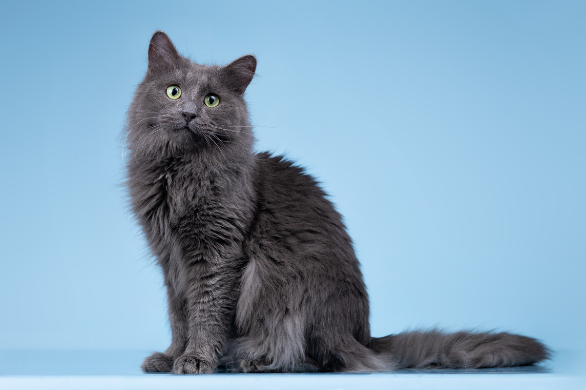 А какой он, свой дом?