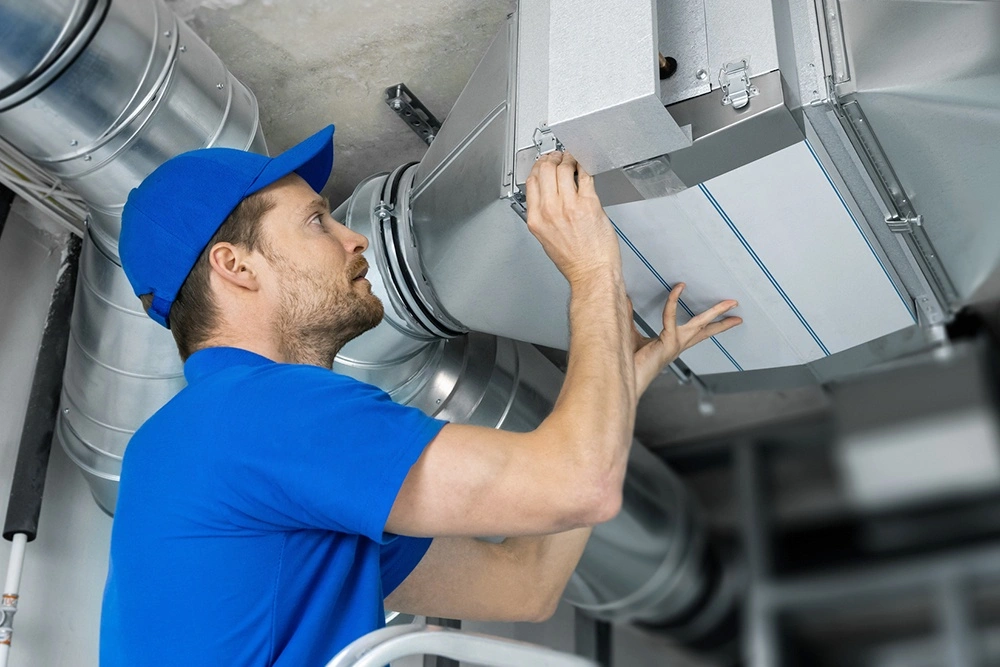 Введение (фото из интернета)