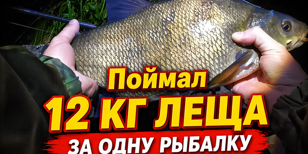 Поймал 12 кг леща за одну рыбалку: рабочая прикормка 2026