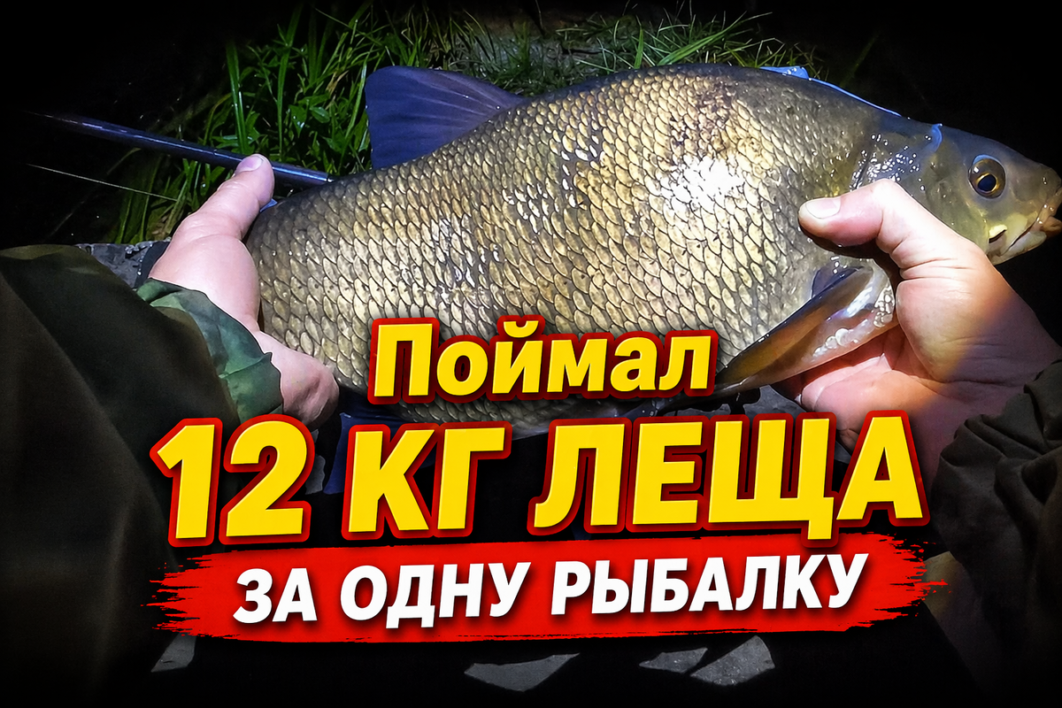Рабочая прикормка на леща 2026. Фидерная рыбалка с Кузьмичом
