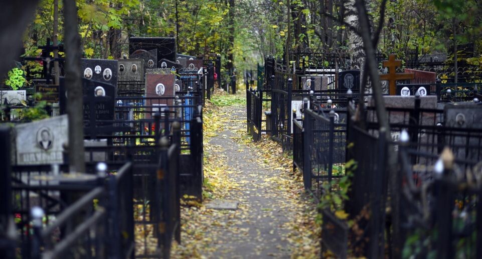 Мистика, ритуал или психотерапия? Почему контент с уборкой могил одновременно пугает, успокаивает и заставляет думать о вечном?