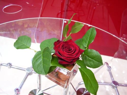 Роза в кирпичной кладке. Иногда мышление выглядит именно так.