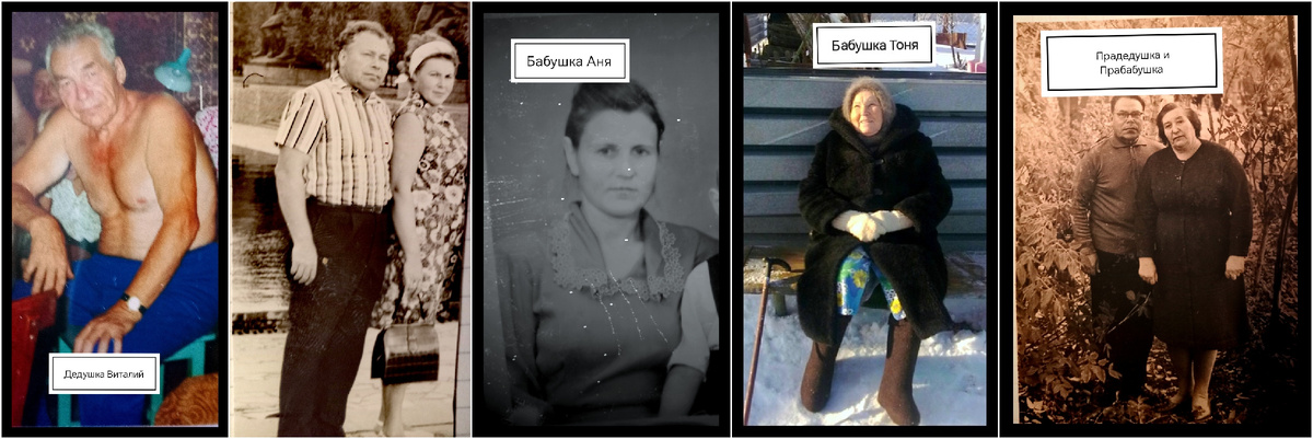 Мои дедушки и Бабушки