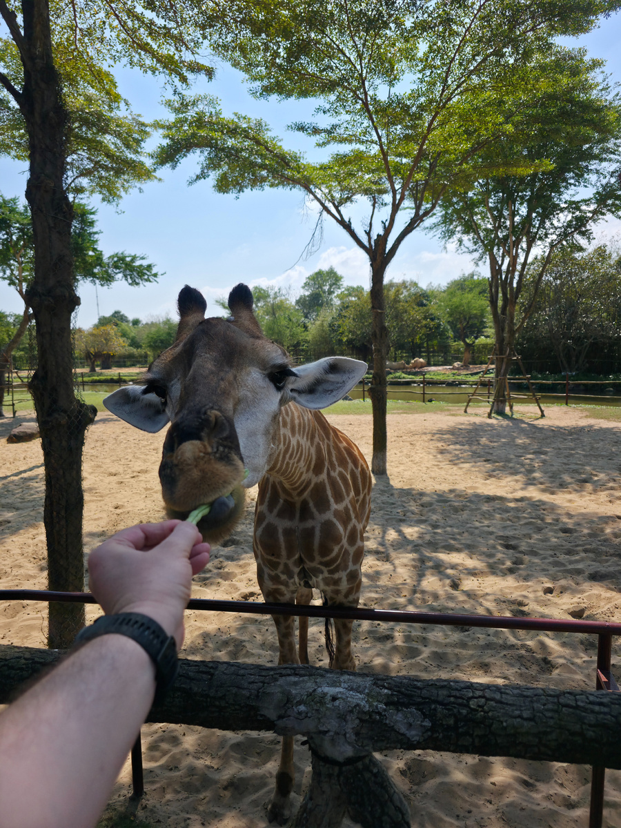 Личное фото