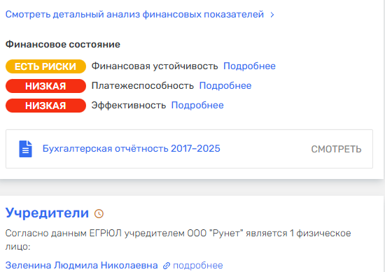 Общий взгляд на финансы ООО Рунет