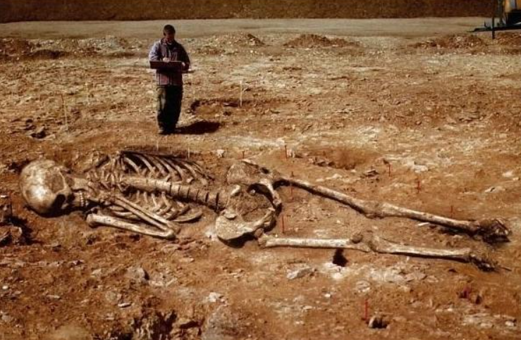 Великаны: что скрывают древние находки и почему легенды о гигантах не исчезают