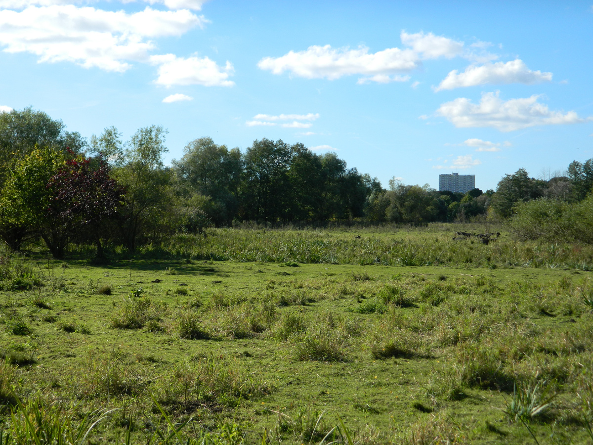 Фотография района Шпандау в Берлине, где была найдена монета. 