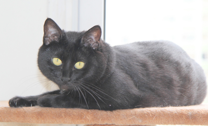 Вот такой я была 10 лет назад 