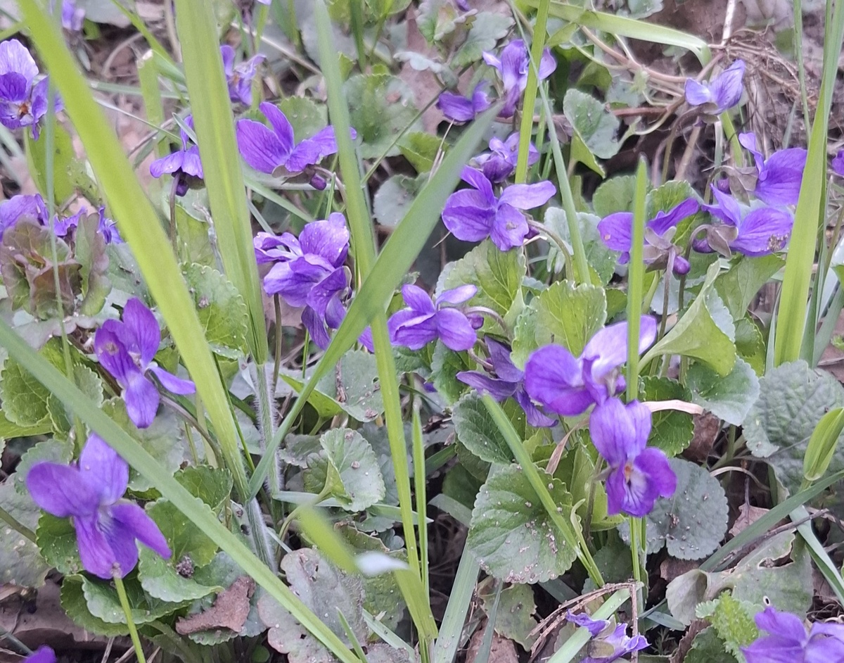 Михаильчик, отзывайтесь...