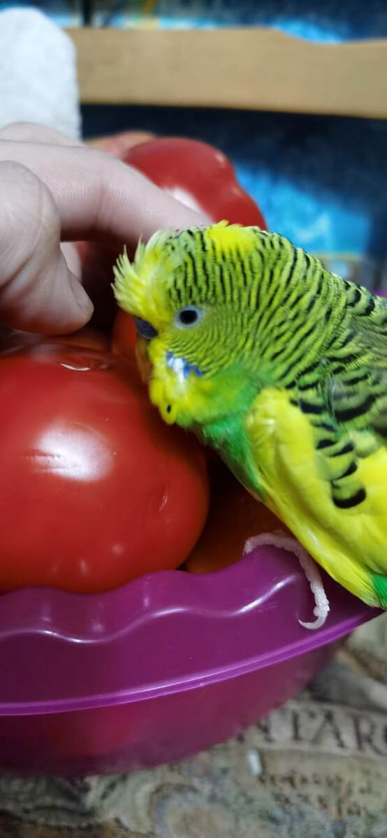 Кирюша нахохлился