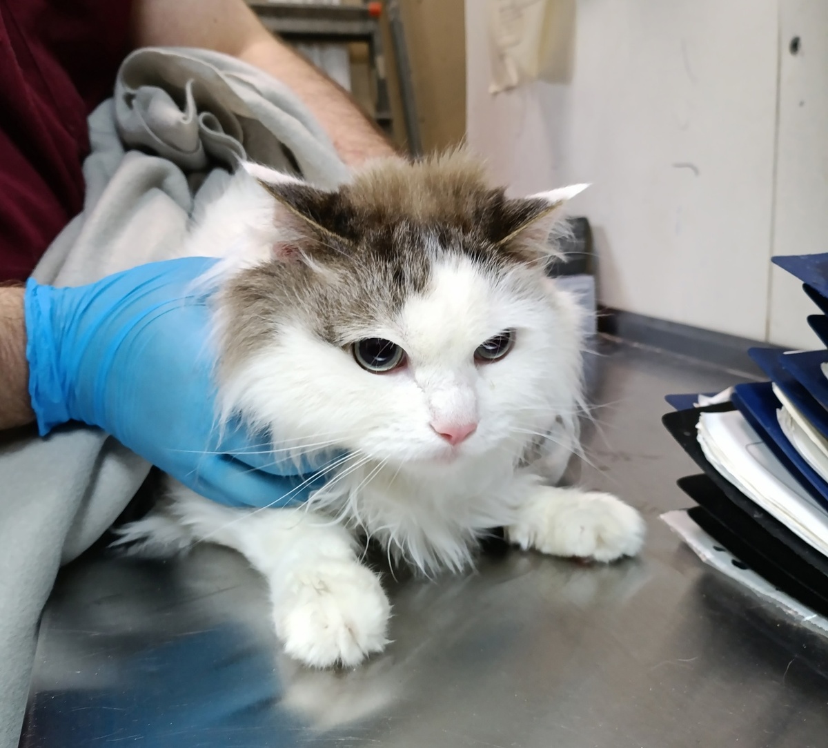 Пассаж на приеме у фельдшера.