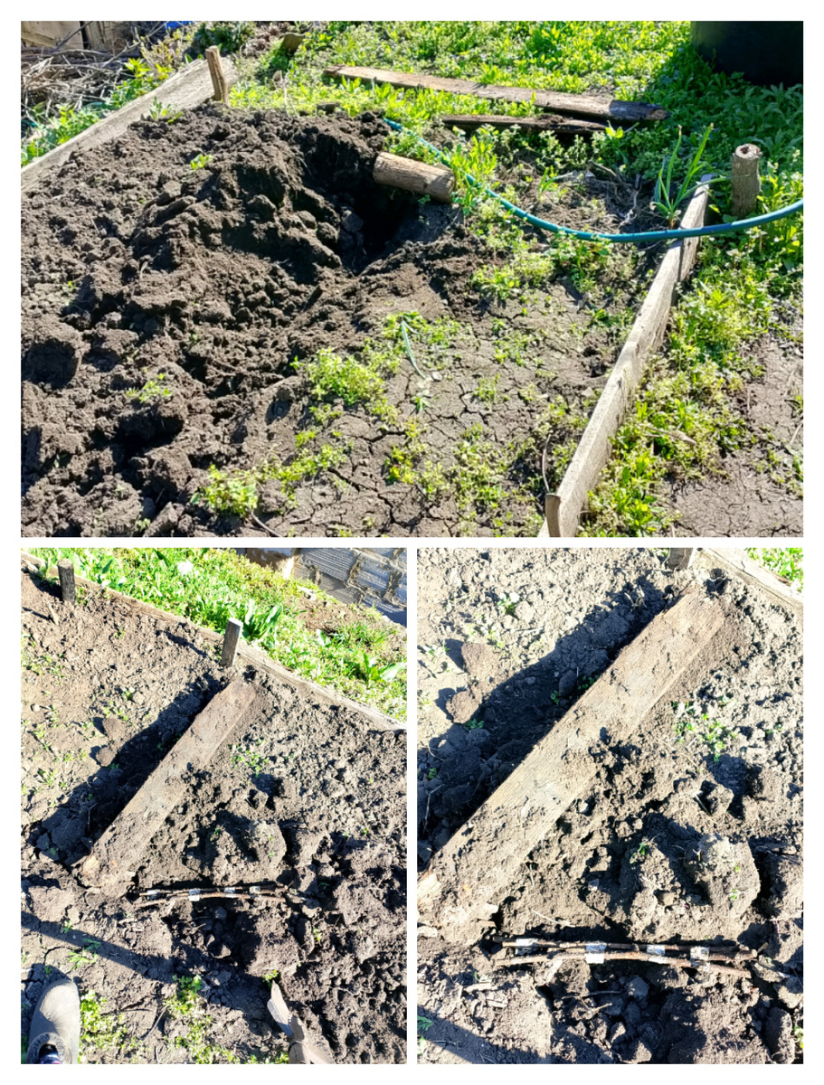 Закопаны были в траншее, снизу и сверху доски 