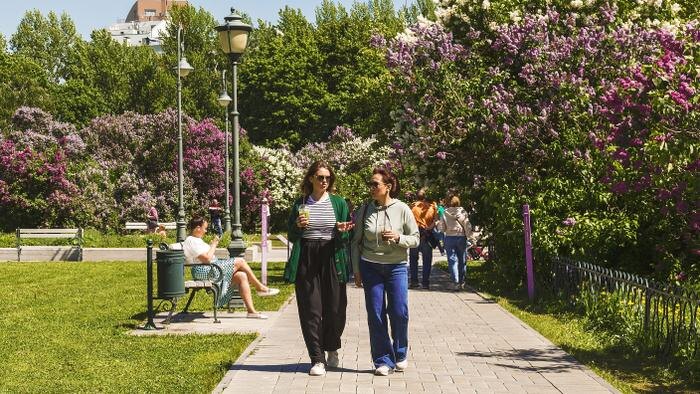 Какая погода будет на майские праздники 2026 в Москве и других городах. Обложка © Shutterstock / FOTODOM / volkova natalia