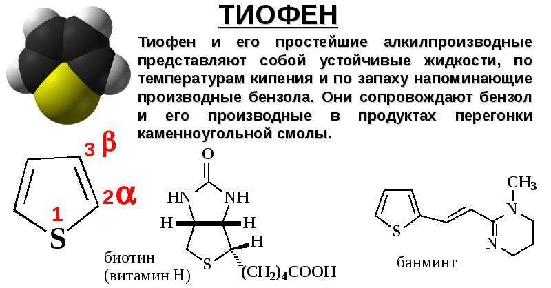 фото из открытого источника
