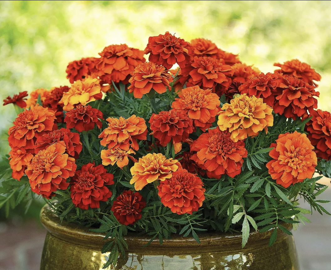 фото из открытого источника