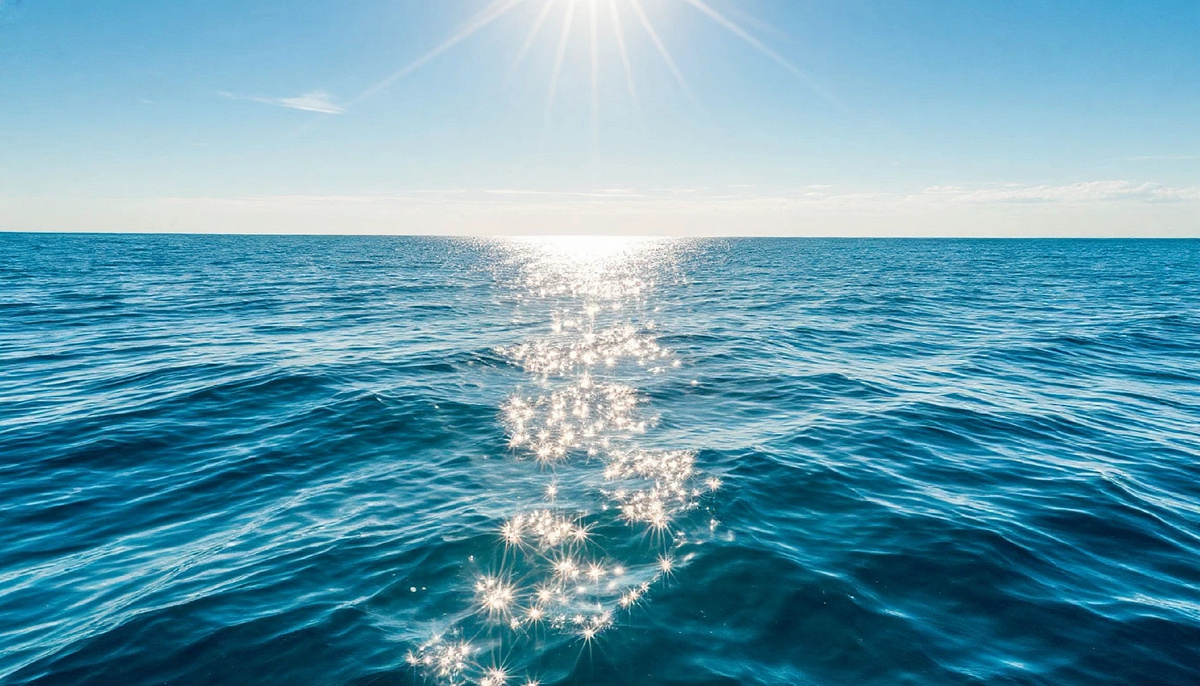 Фитопланктон океана – главный источник кислорода на планете.