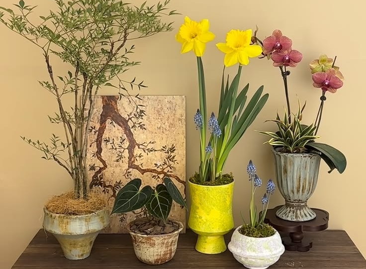 Когда глаза просят цвета: о том, как маленькие вещи спасают большую зиму.