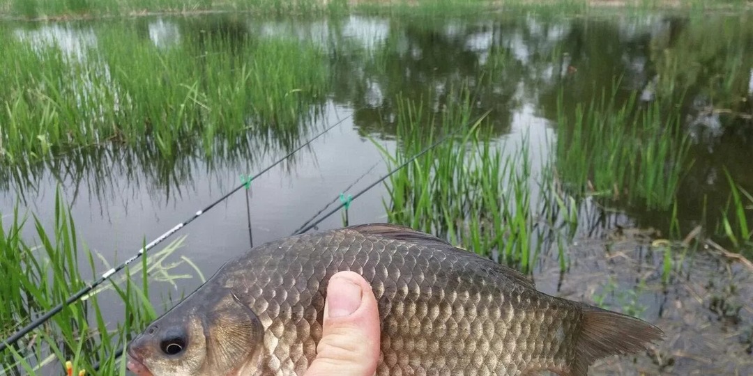 Почему у соседа клюёт, а у вас нет? Апрельская хитрость, которую все упускают