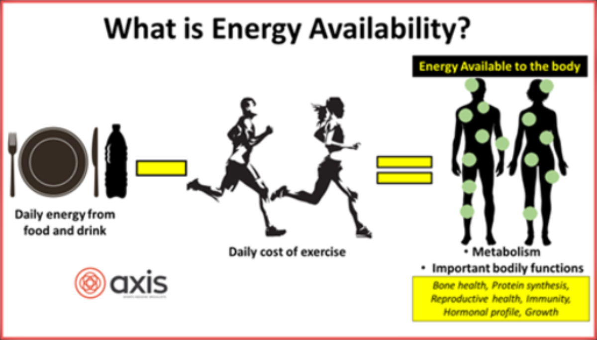 Доступность энергии - это диетическая энергия, оставшаяся в организме после учета энергии, затраченной на физические упражнения.