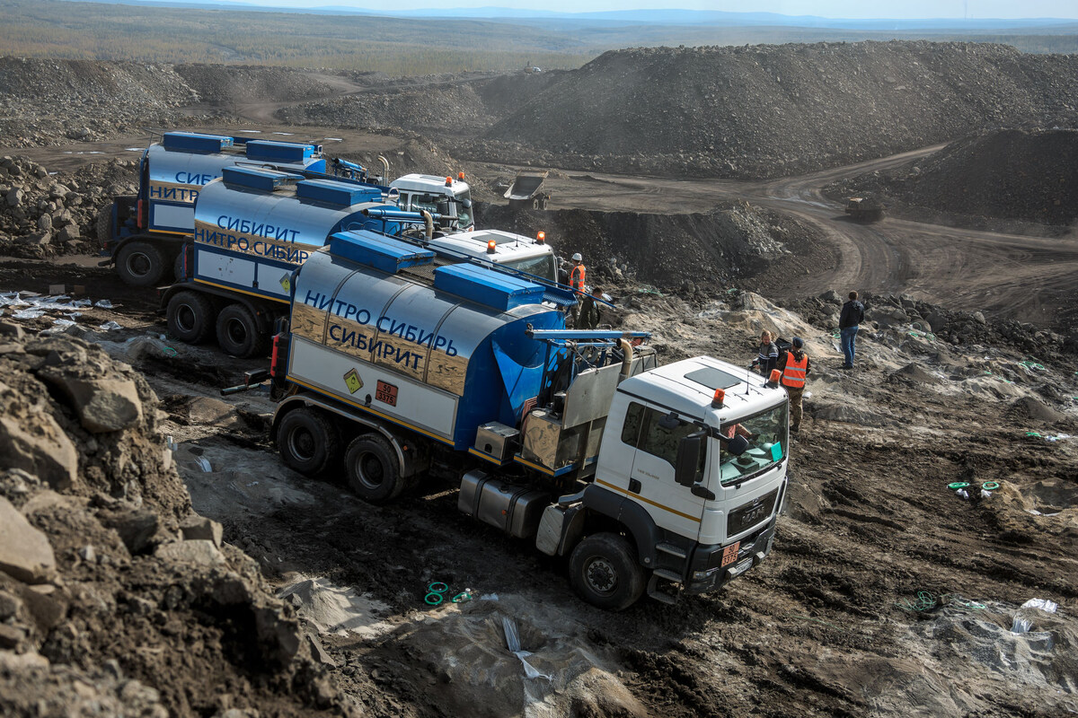 Фото «Нитро Сибирь Голд»