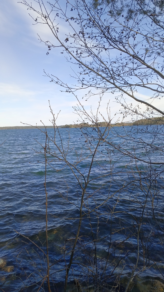 фото автора: сейчас озеро неспокойное и холодное