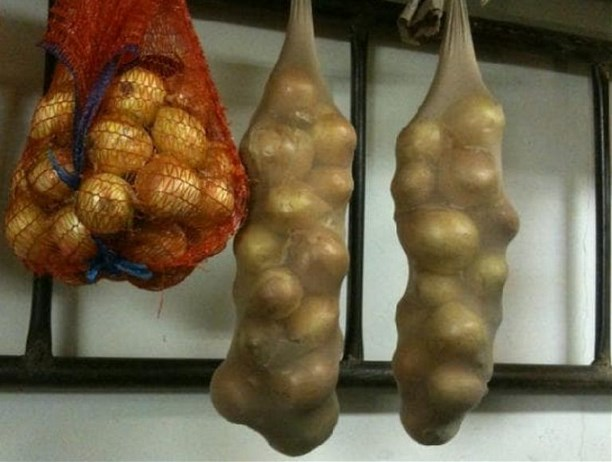 Лук в капроновых колготках: старый лайфхак