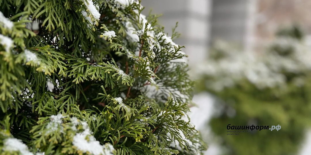 В Башкирии прогнозируются дожди со снегом