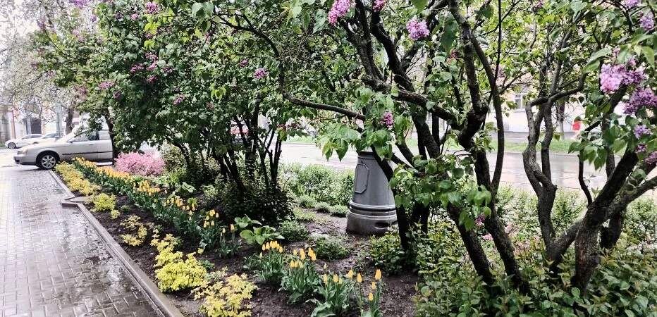 Погода в Таганроге: среда будет облачной и прохладной, есть небольшая вероятность дождя