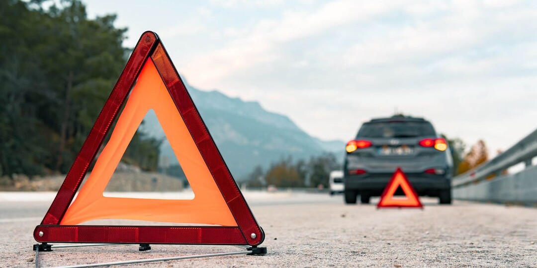 Что грозит водителю в России за сбитого голубя: какой штраф ждет виновника и могут ли лишить прав